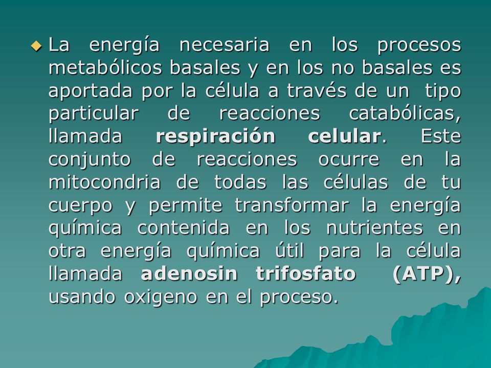 La energía necesaria en los procesos metabólicos basales y en los no basales es aportada por la célula a través de un tipo particular de reacciones catabólicas, llamada respiración celular.