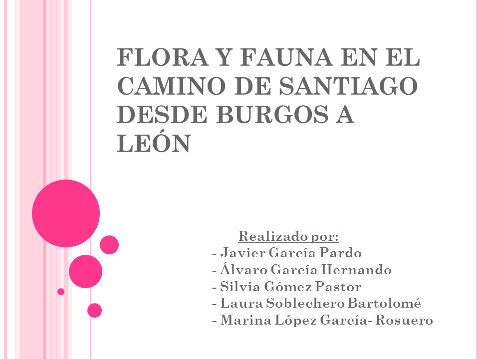 FLORA Y FAUNA EN EL CAMINO DE SANTIAGO DESDE BURGOS A LEÓN