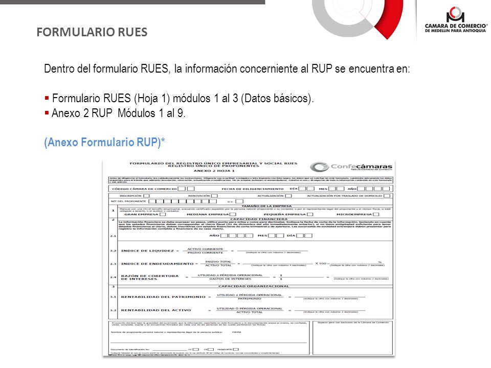 FORMULARIO RUES Dentro del formulario RUES, la información concerniente al RUP se encuentra en:
