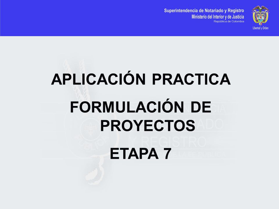 FORMULACIÓN DE PROYECTOS