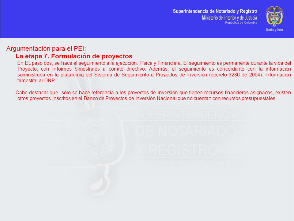 Argumentación para el PEI: La etapa 7. Formulación de proyectos