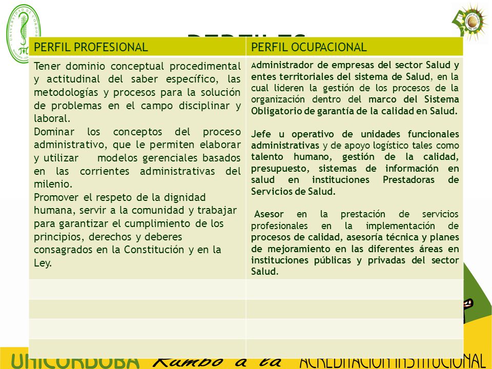 PERFILES PERFIL PROFESIONAL PERFIL OCUPACIONAL