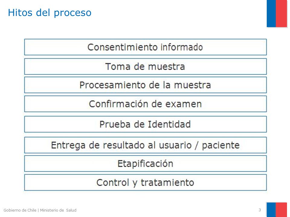 Hitos del proceso Gobierno de Chile | Ministerio de Salud