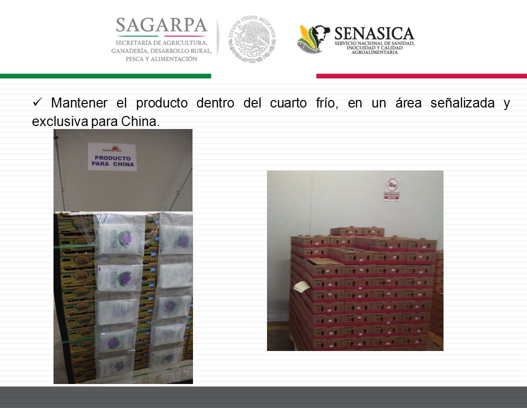 Mantener el producto dentro del cuarto frío, en un área señalizada y exclusiva para China.