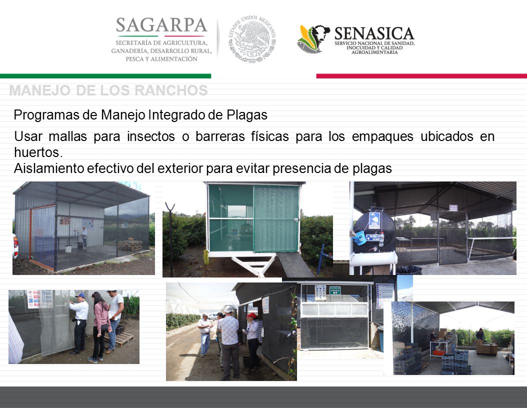 MANEJO DE LOS RANCHOS Programas de Manejo Integrado de Plagas