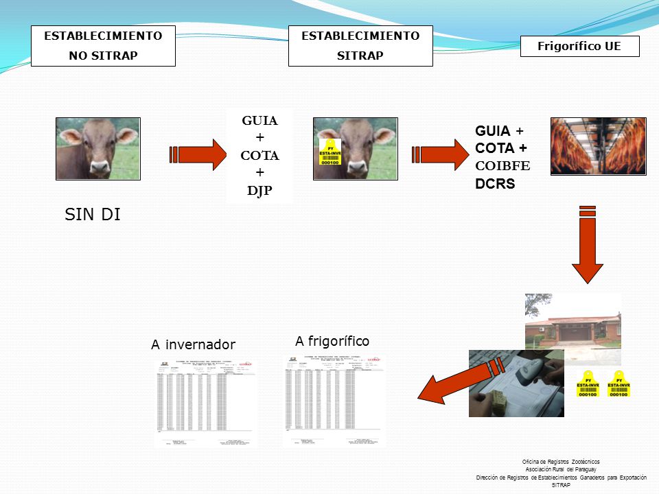 SIN DI GUIA + GUIA + COTA + COIBFE DCRS COTA DJP A invernador