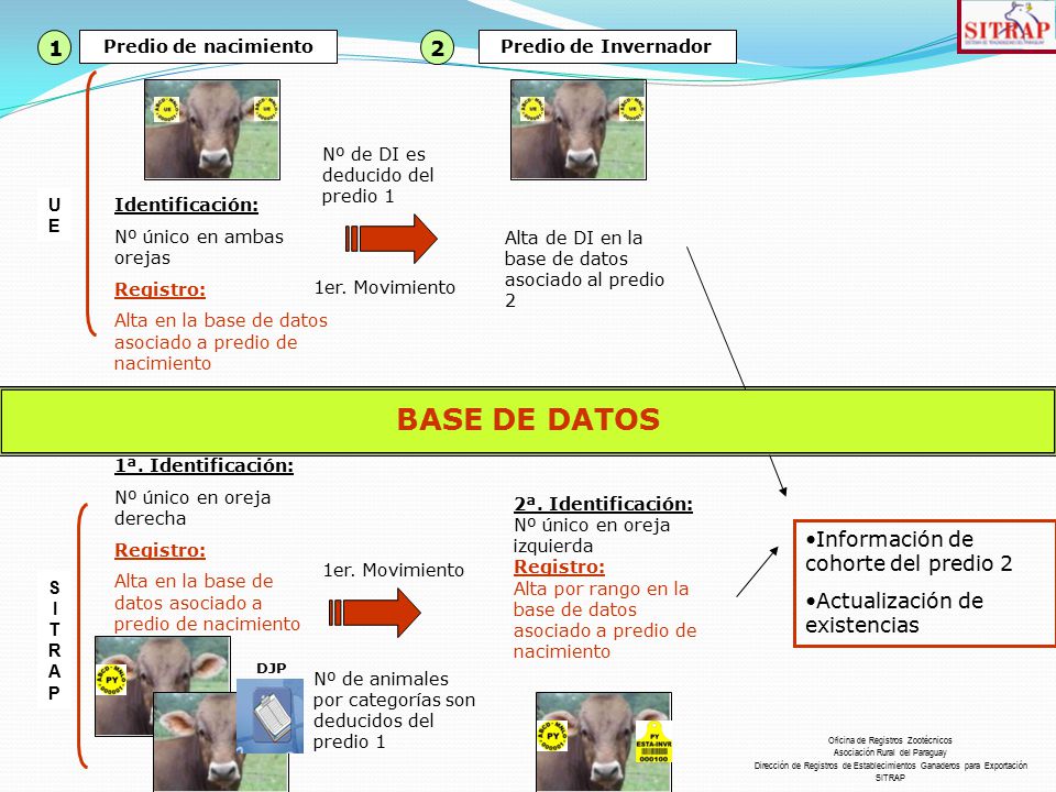 BASE DE DATOS 1 2 Información de cohorte del predio 2