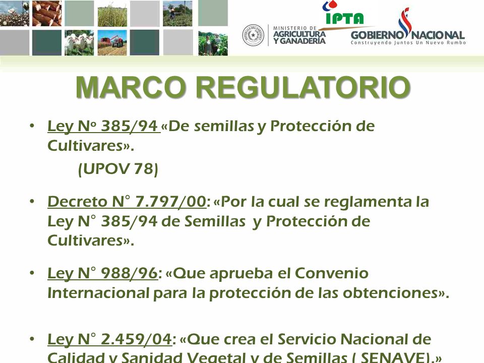MARCO REGULATORIO Ley Nº 385/94 «De semillas y Protección de Cultivares». (UPOV 78)