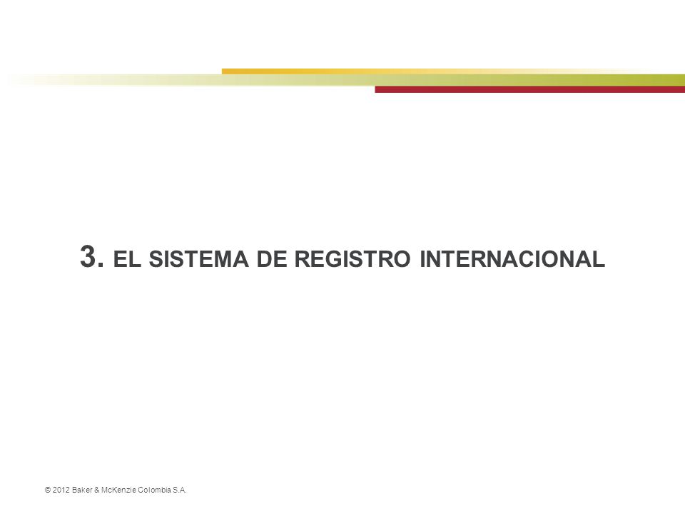3. EL SISTEMA DE REGISTRO INTERNACIONAL