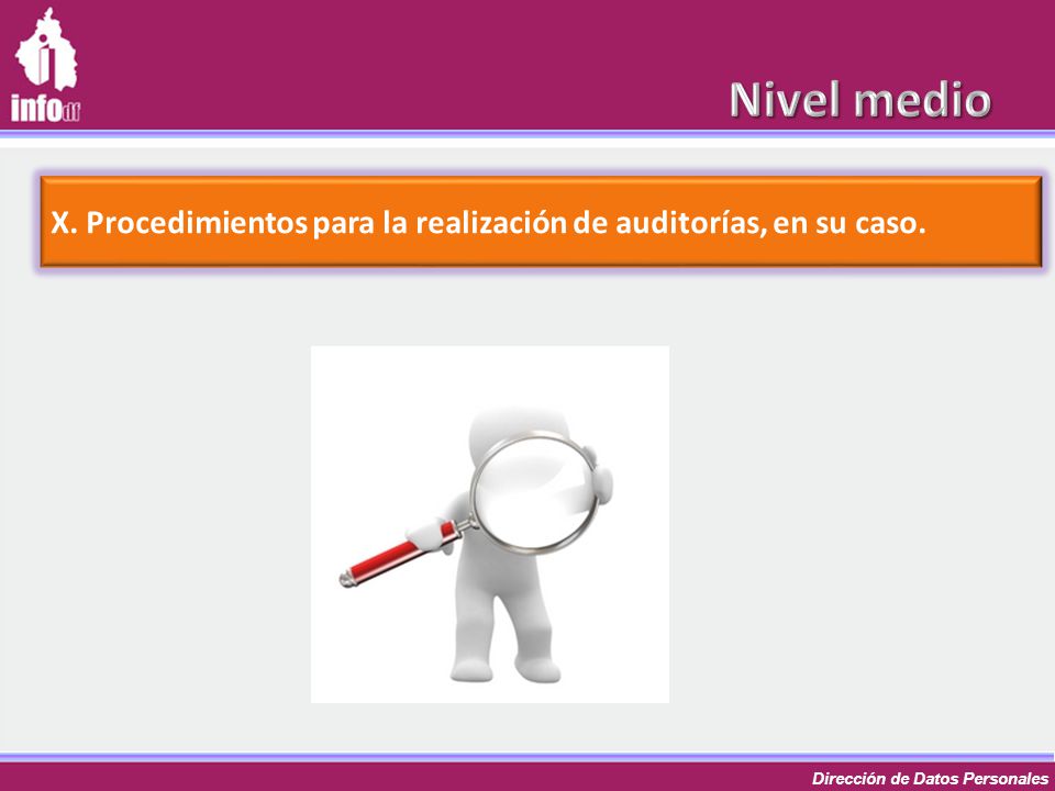 Nivel medio X. Procedimientos para la realización de auditorías, en su caso.