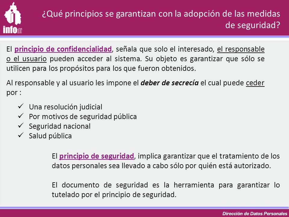 ¿Qué principios se garantizan con la adopción de las medidas de seguridad