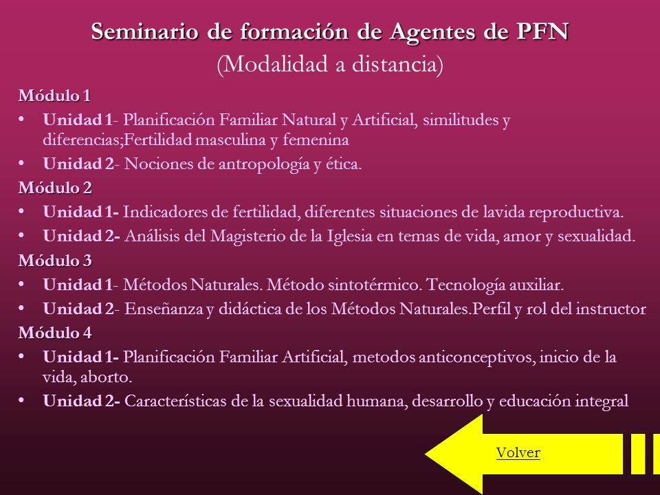 Seminario de formación de Agentes de PFN (Modalidad a distancia)
