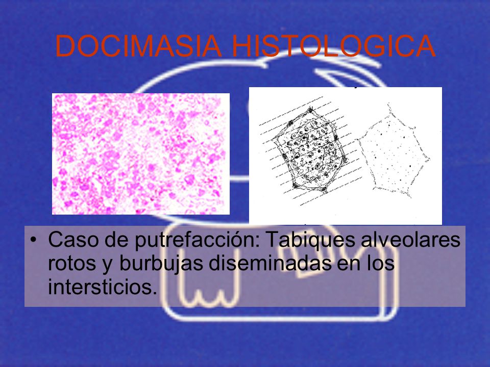 DOCIMASIA HISTOLOGICA