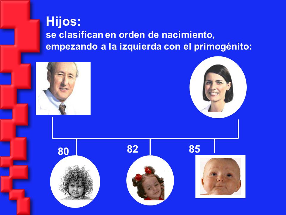 Hijos: se clasifican en orden de nacimiento, empezando a la izquierda con el primogénito: