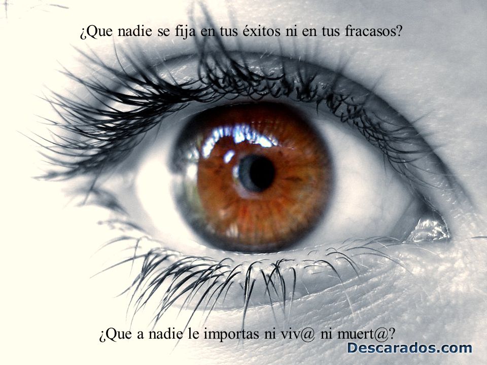 ¿Que nadie se fija en tus éxitos ni en tus fracasos