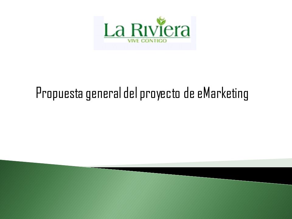 Propuesta general del proyecto de eMarketing