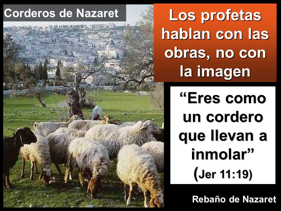 Los profetas hablan con las obras, no con la imagen