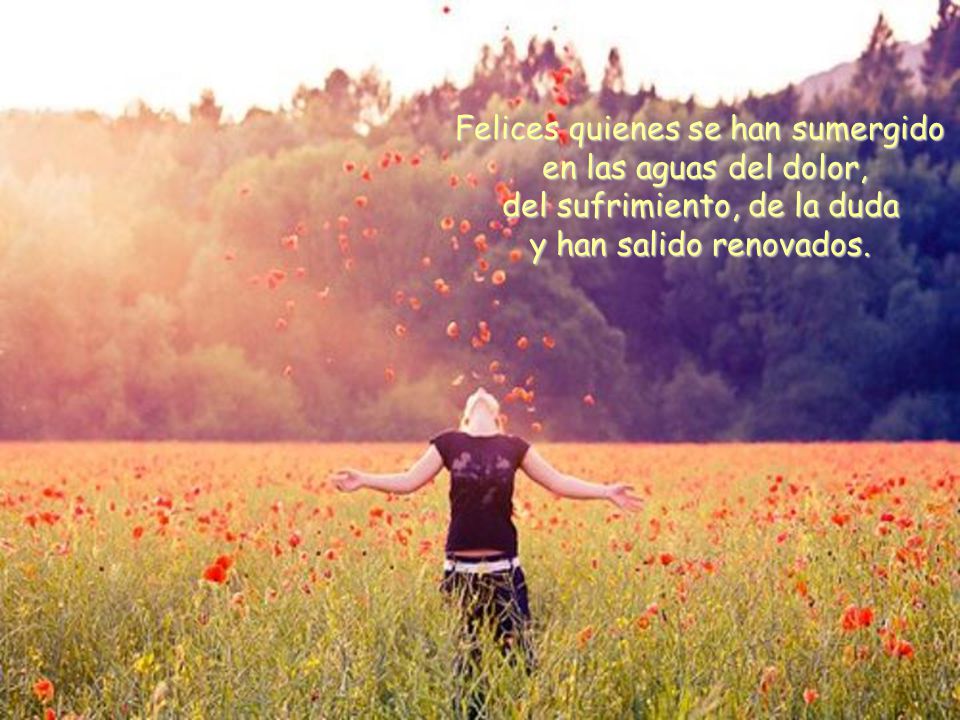 Felices quienes se han sumergido en las aguas del dolor, del sufrimiento, de la duda y han salido renovados.