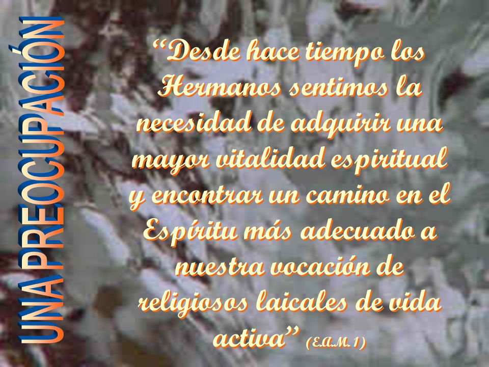 Desde hace tiempo los Hermanos sentimos la necesidad de adquirir una mayor vitalidad espiritual y encontrar un camino en el Espíritu más adecuado a nuestra vocación de religiosos laicales de vida activa (E.A.M. 1)