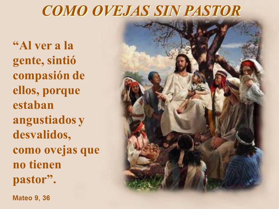 COMO OVEJAS SIN PASTOR Al ver a la gente, sintió compasión de ellos, porque estaban angustiados y desvalidos, como ovejas que no tienen pastor .