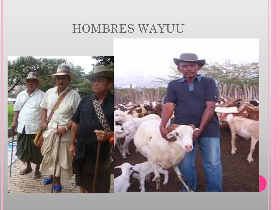 HOMBRES WAYUU