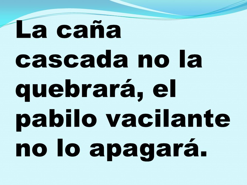 La caña cascada no la quebrará, el pabilo vacilante no lo apagará.