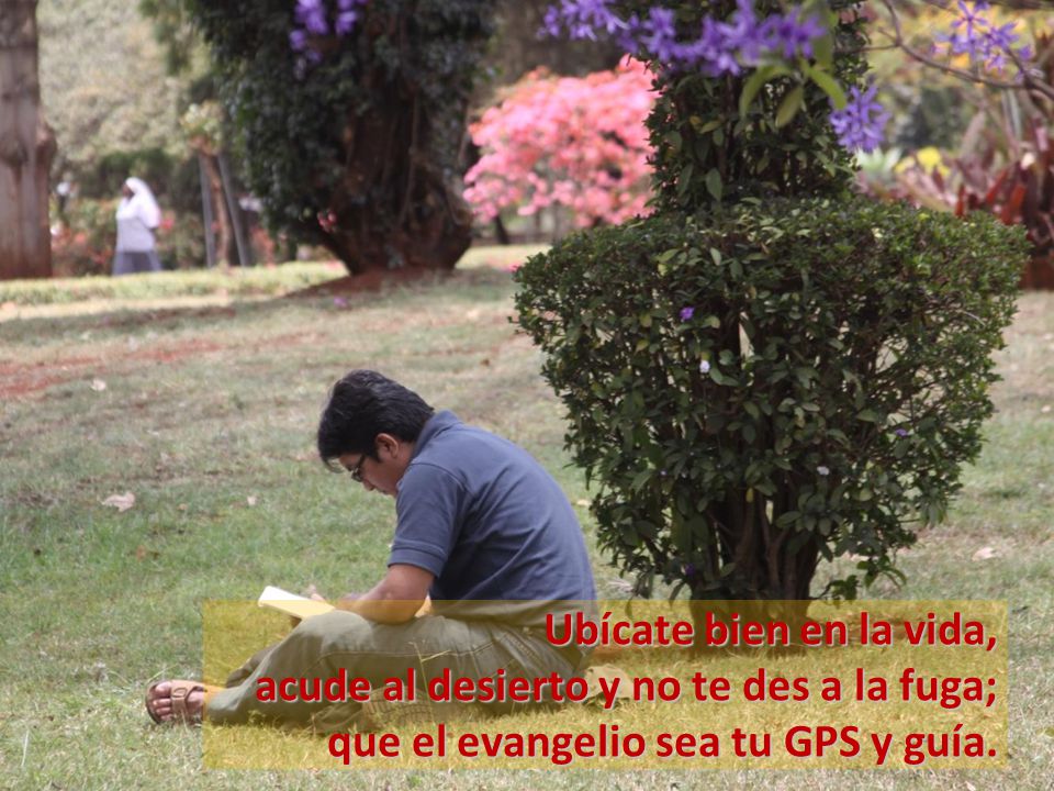 Ubícate bien en la vida, acude al desierto y no te des a la fuga; que el evangelio sea tu GPS y guía.