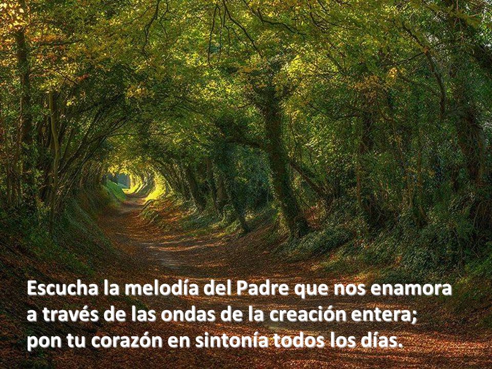 Escucha la melodía del Padre que nos enamora a través de las ondas de la creación entera; pon tu corazón en sintonía todos los días.