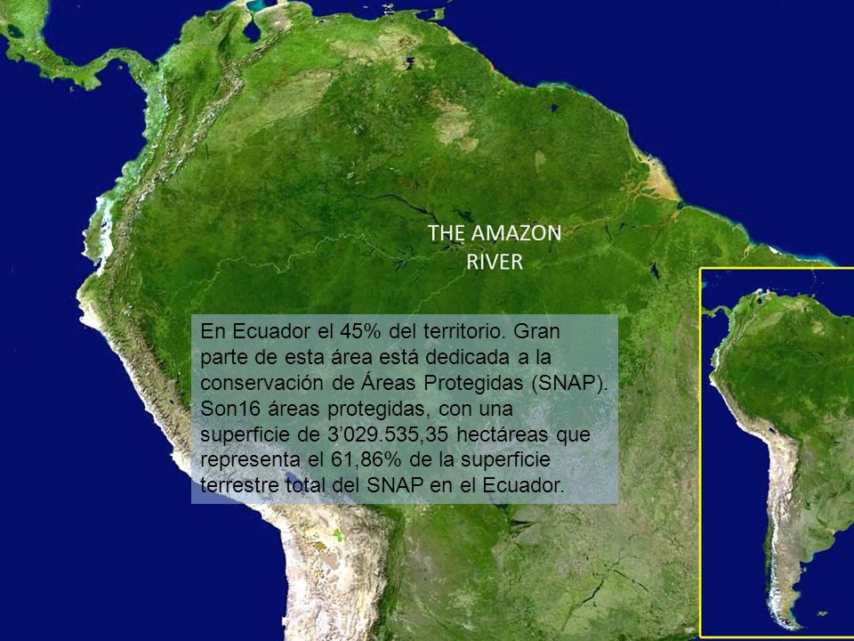 En Ecuador el 45% del territorio