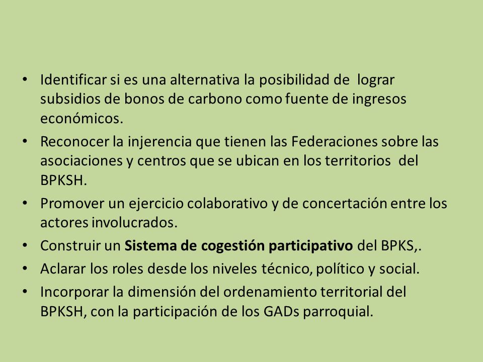 Identificar si es una alternativa la posibilidad de lograr subsidios de bonos de carbono como fuente de ingresos económicos.