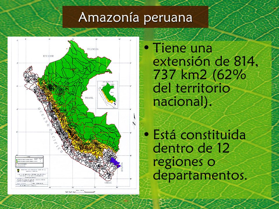 Pueblos Indigenas En La Amazonia Peruana Ppt Video Online Descargar