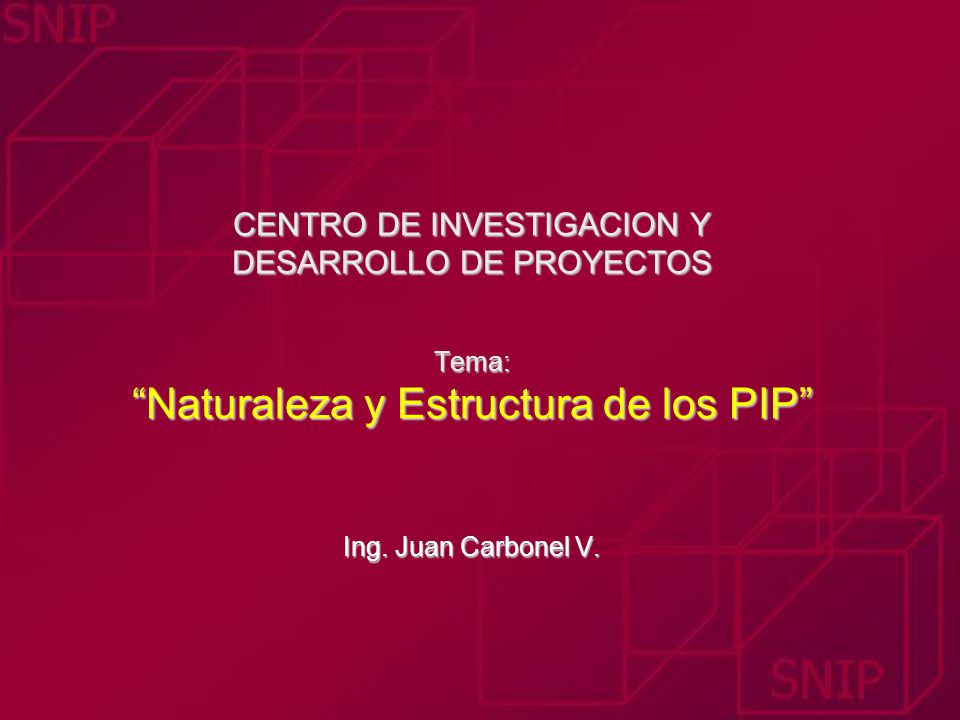 CENTRO DE INVESTIGACION Y DESARROLLO DE PROYECTOS Tema: Naturaleza y Estructura de los PIP Ing.