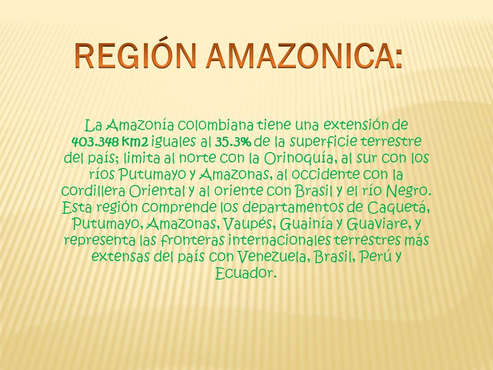 REGIÓN AMAZONICA: