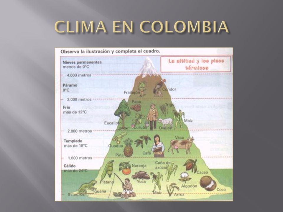 CLIMA EN COLOMBIA