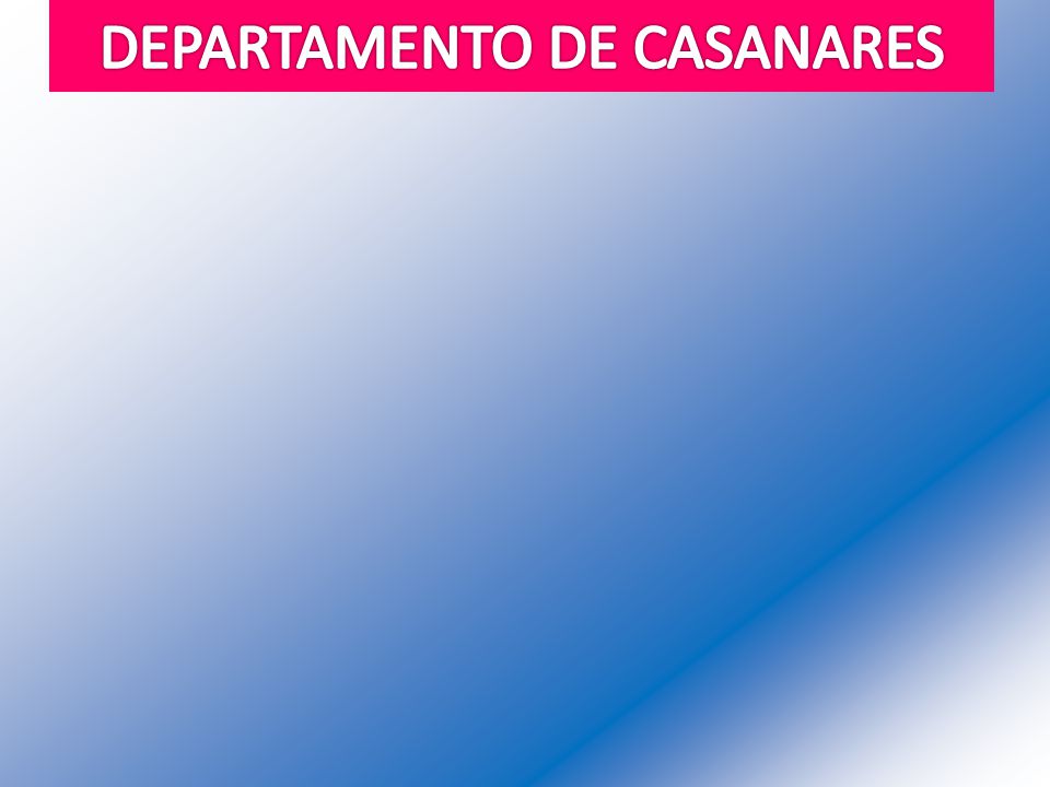 DEPARTAMENTO DE CASANARES
