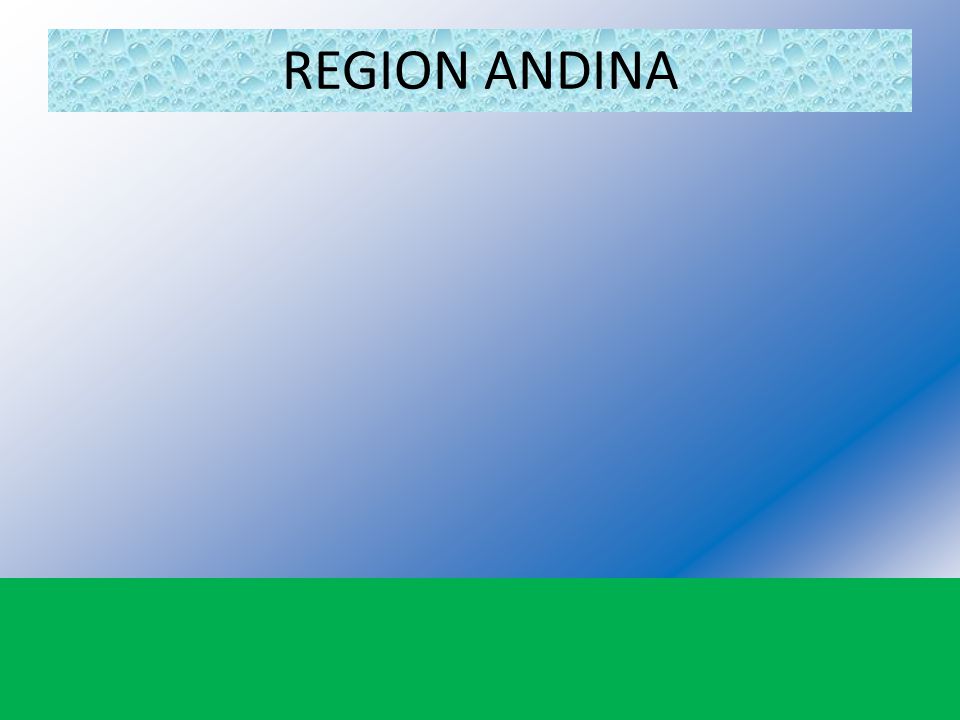 REGION ANDINA