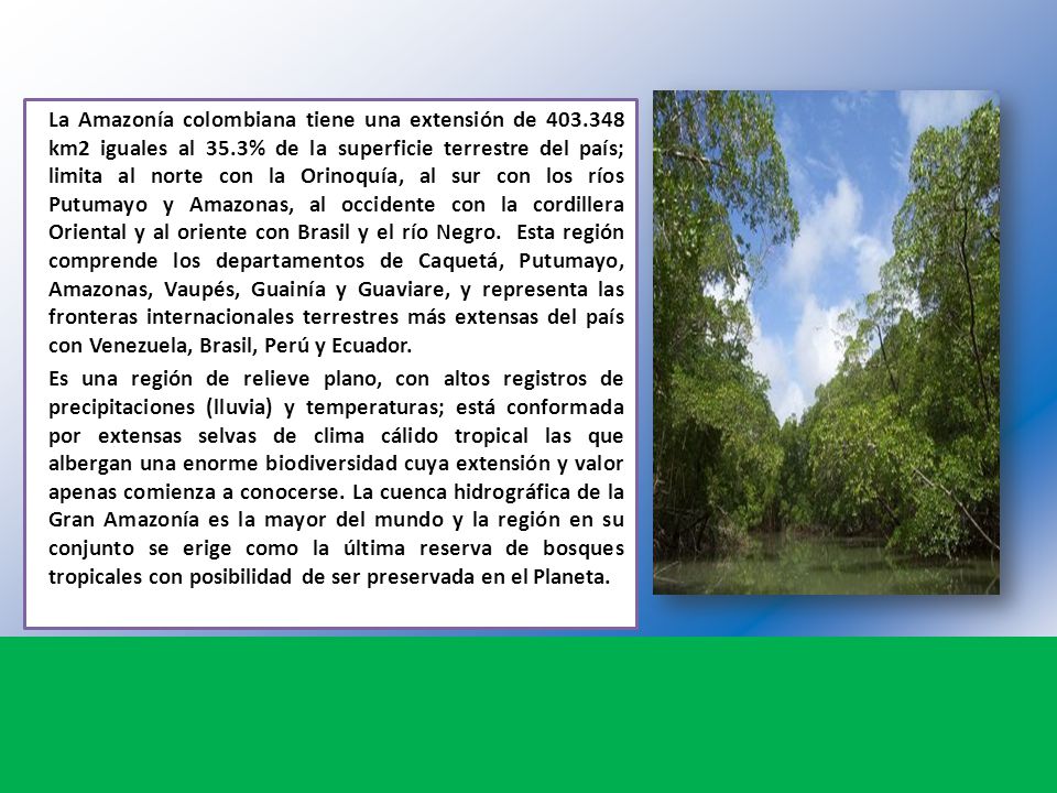 La Amazonía colombiana tiene una extensión de 403