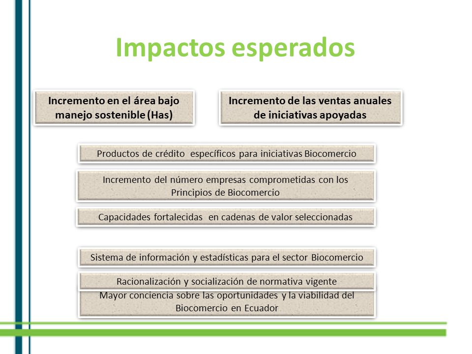 Impactos esperados Incremento en el área bajo manejo sostenible (Has)