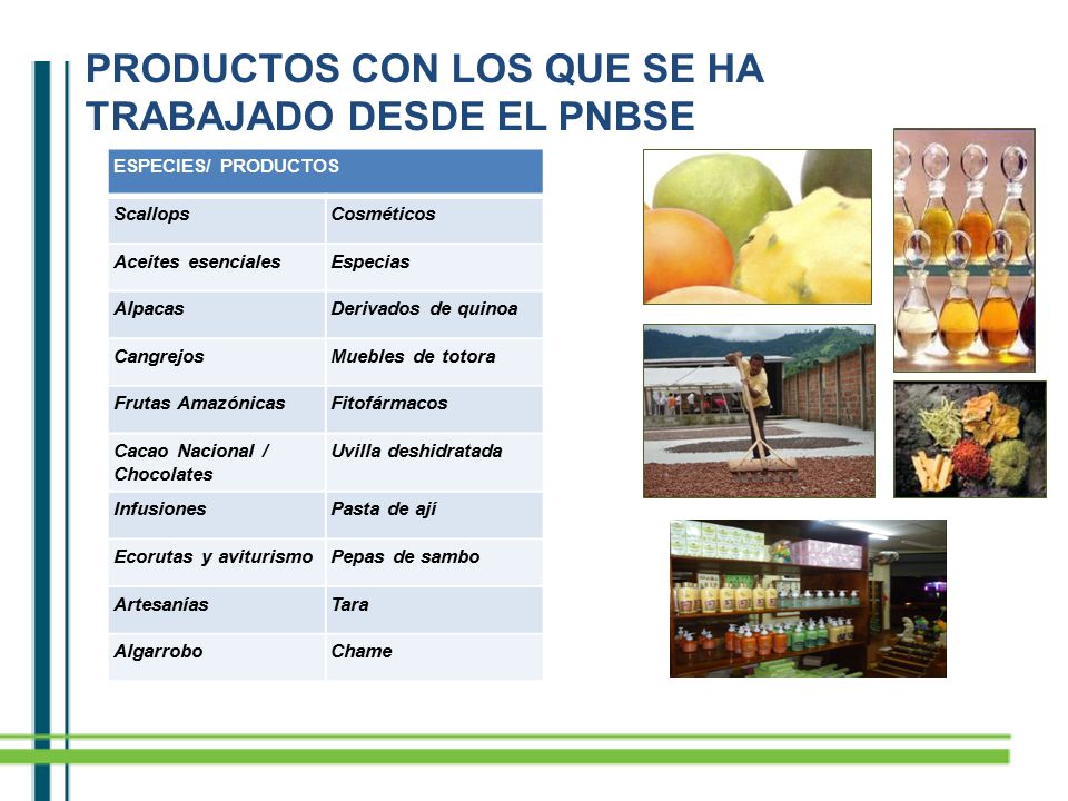 PRODUCTOS CON LOS QUE SE HA TRABAJADO DESDE EL PNBSE