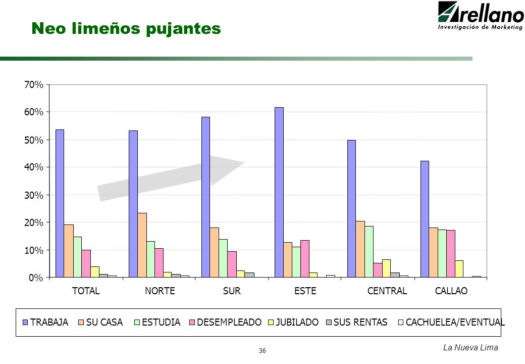 Neo limeños pujantes 70% 60% 50% 40% 30% 20% 10% 0% TOTAL NORTE SUR