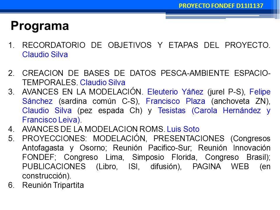 PROYECTO FONDEF D11I1137 Programa. RECORDATORIO DE OBJETIVOS Y ETAPAS DEL PROYECTO. Claudio Silva.