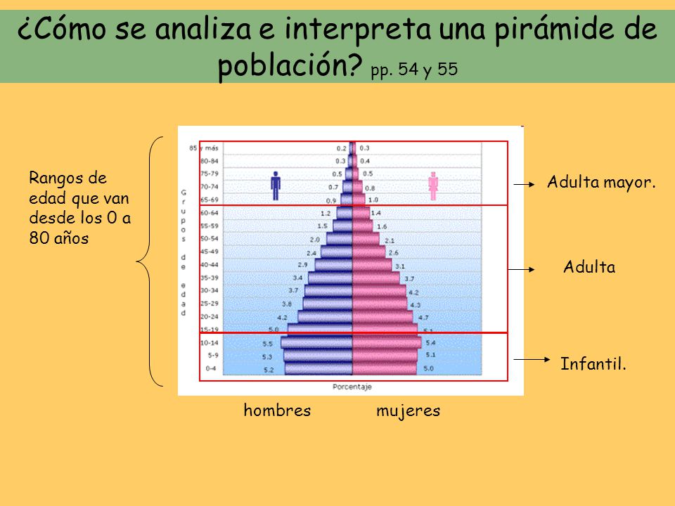 ¿Cómo se analiza e interpreta una pirámide de población pp. 54 y 55