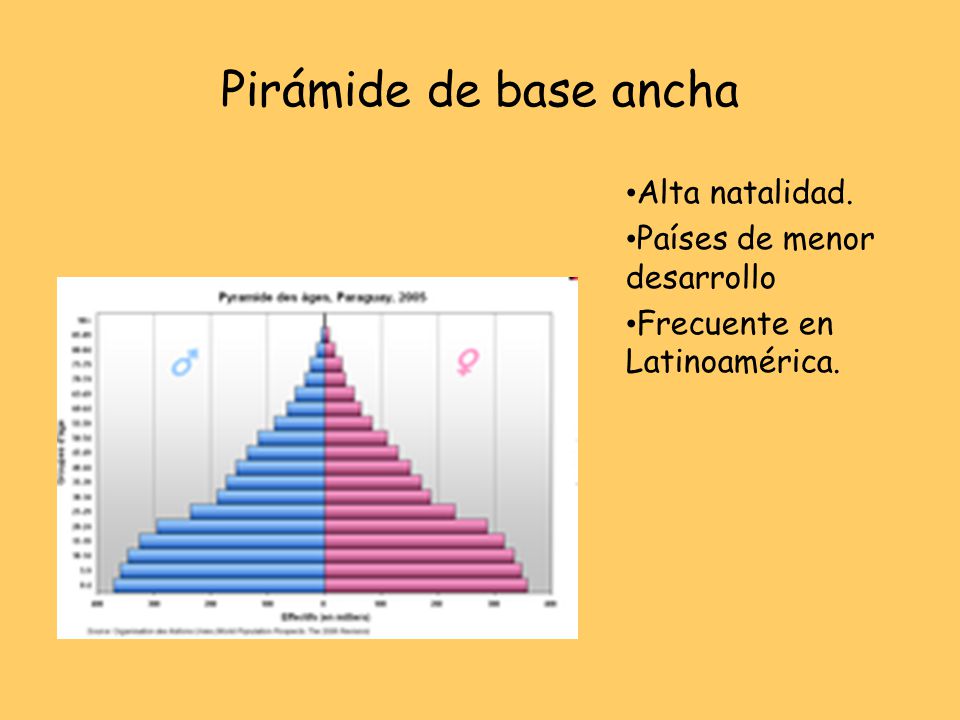 Pirámide de base ancha Alta natalidad. Países de menor desarrollo