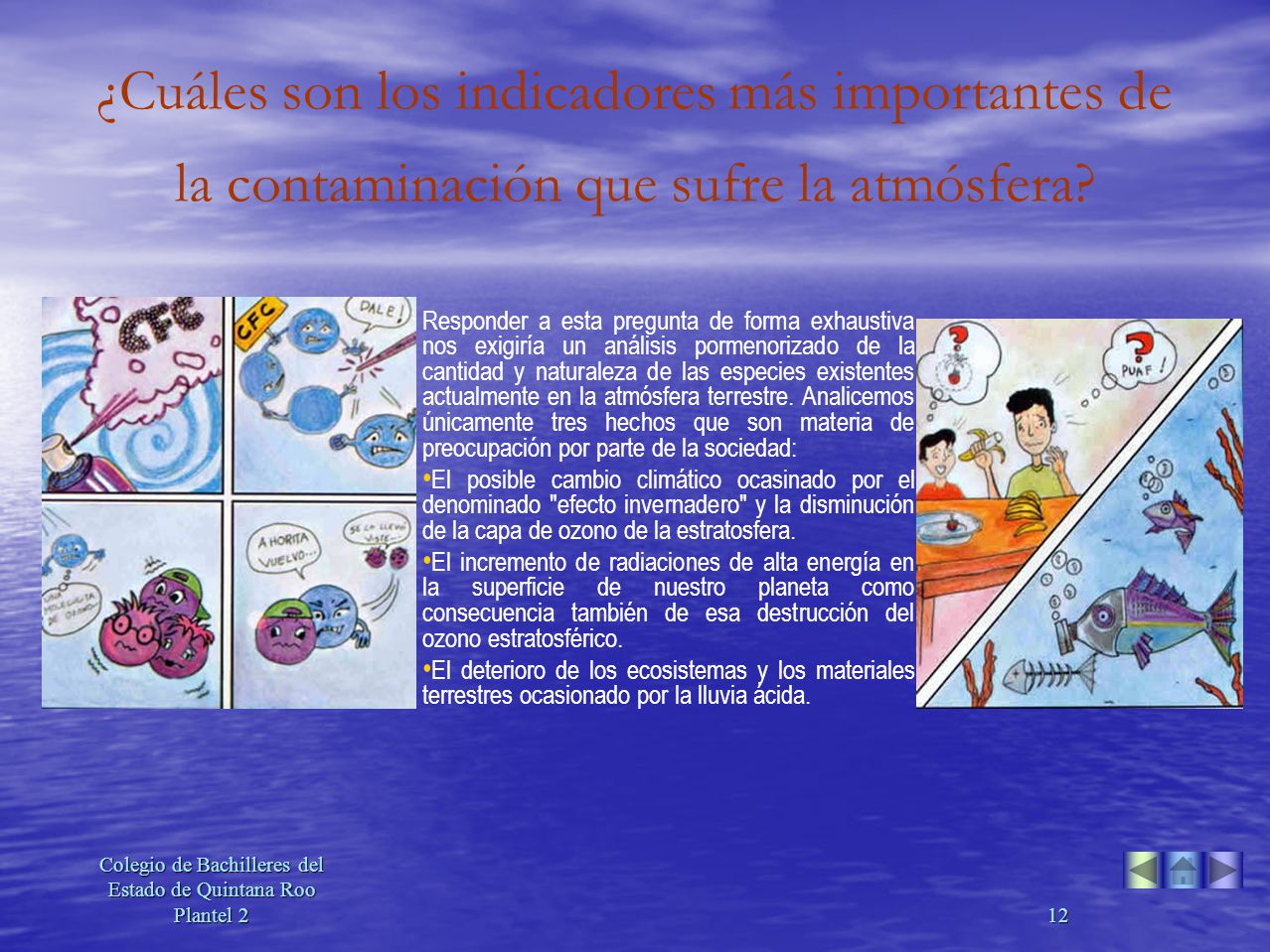 Colegio de Bachilleres del Estado de Quintana Roo Plantel 2