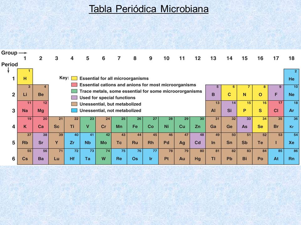 Tabla Periódica Microbiana