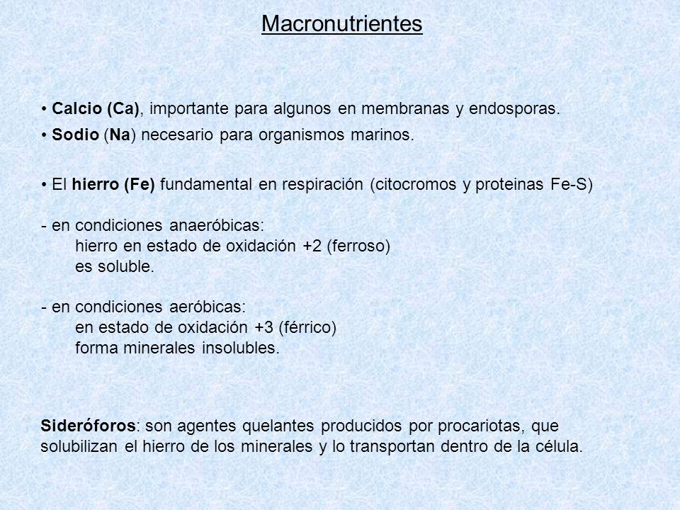 Macronutrientes Calcio (Ca), importante para algunos en membranas y endosporas. Sodio (Na) necesario para organismos marinos.