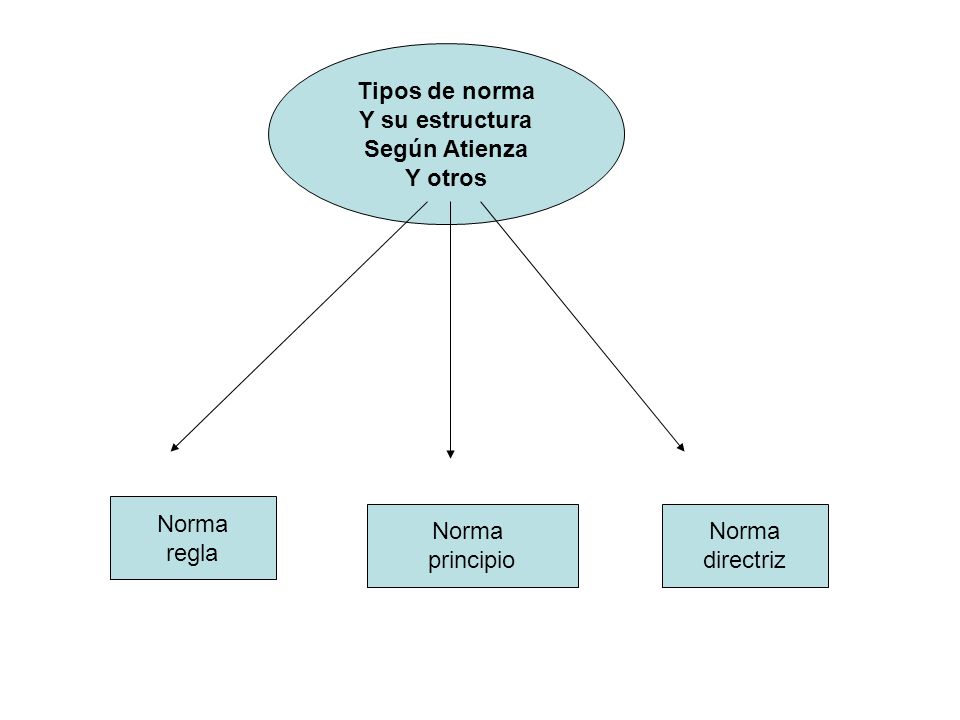 Tipos de norma Y su estructura Según Atienza Y otros Norma regla Norma principio Norma directriz