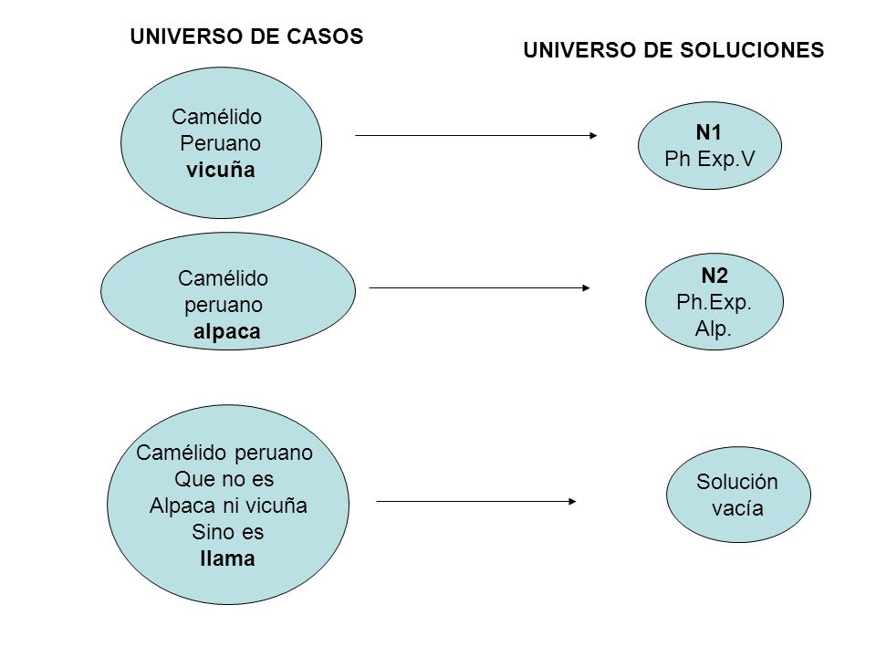UNIVERSO DE CASOS UNIVERSO DE SOLUCIONES. Camélido. Peruano. vicuña. N1. Ph Exp.V. Camélido. peruano.