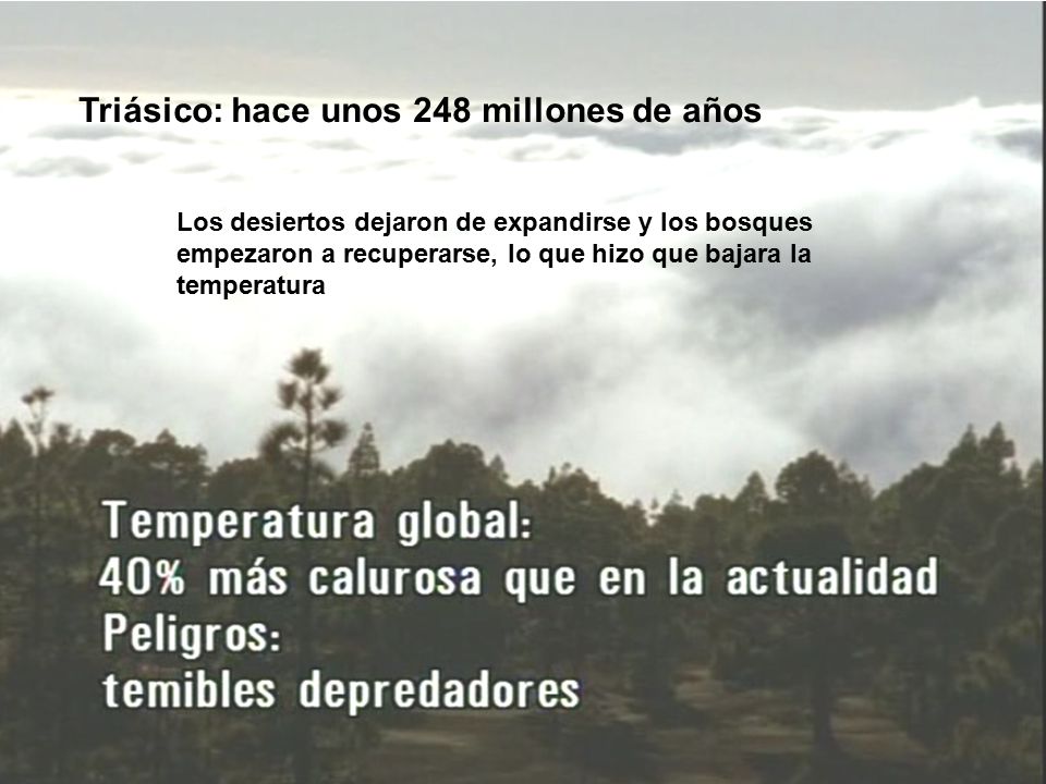 Triásico: hace unos 248 millones de años