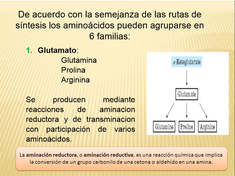 La aminación reductora, o aminación reductiva, es una reacción química que implica la conversión de un grupo carbonilo de una cetona o aldehído en una amina.